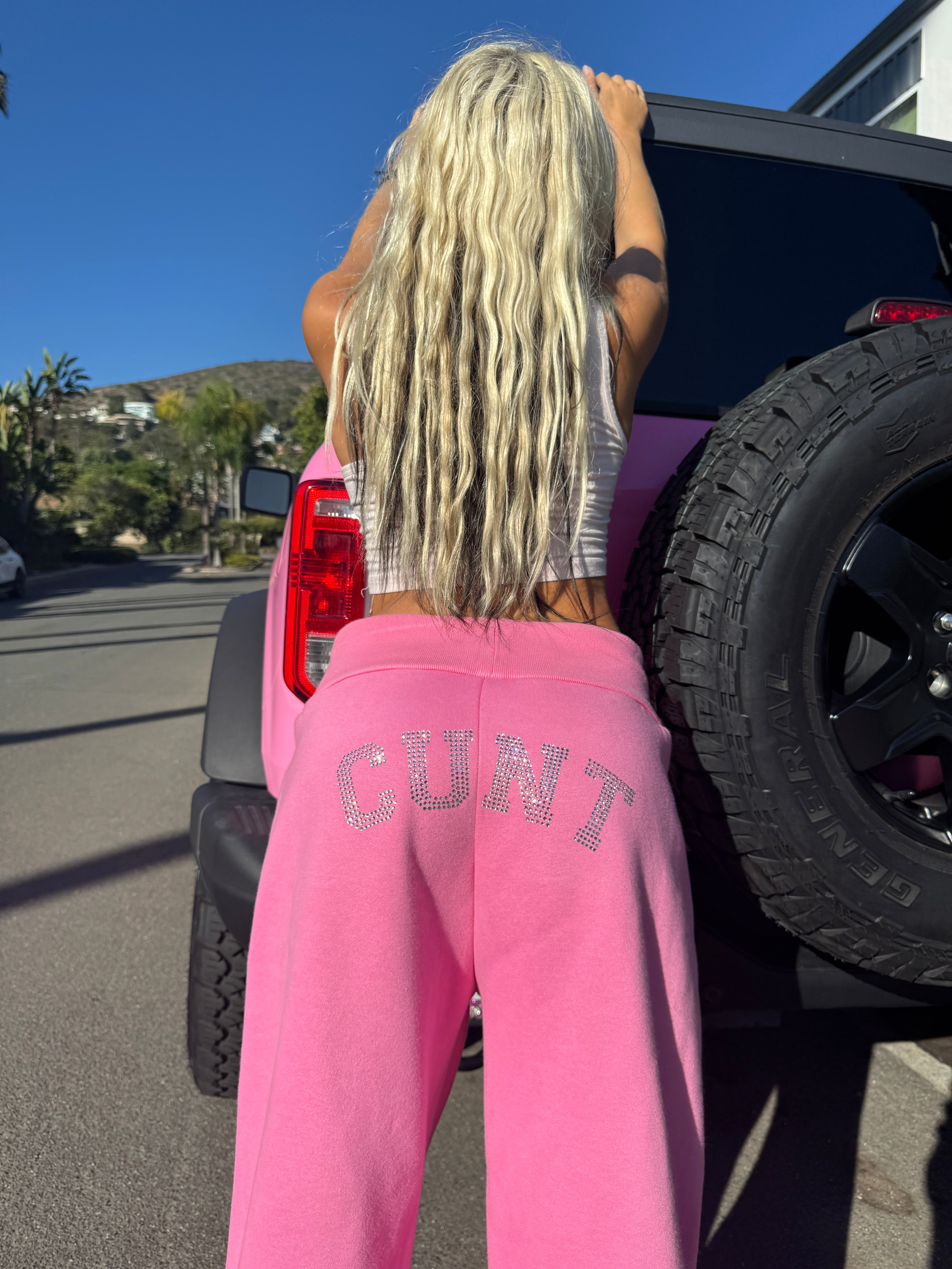 C.U.N.T. Pink Flare Sweatpants