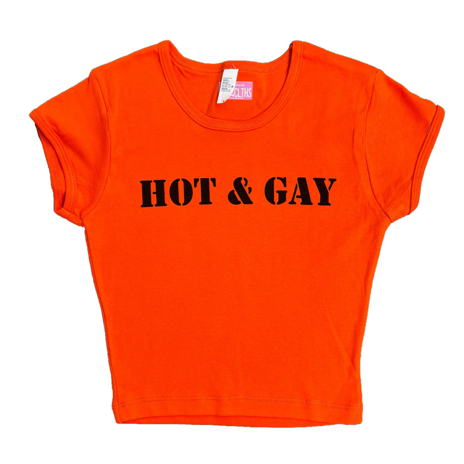 HOT & GAY Baby Tee