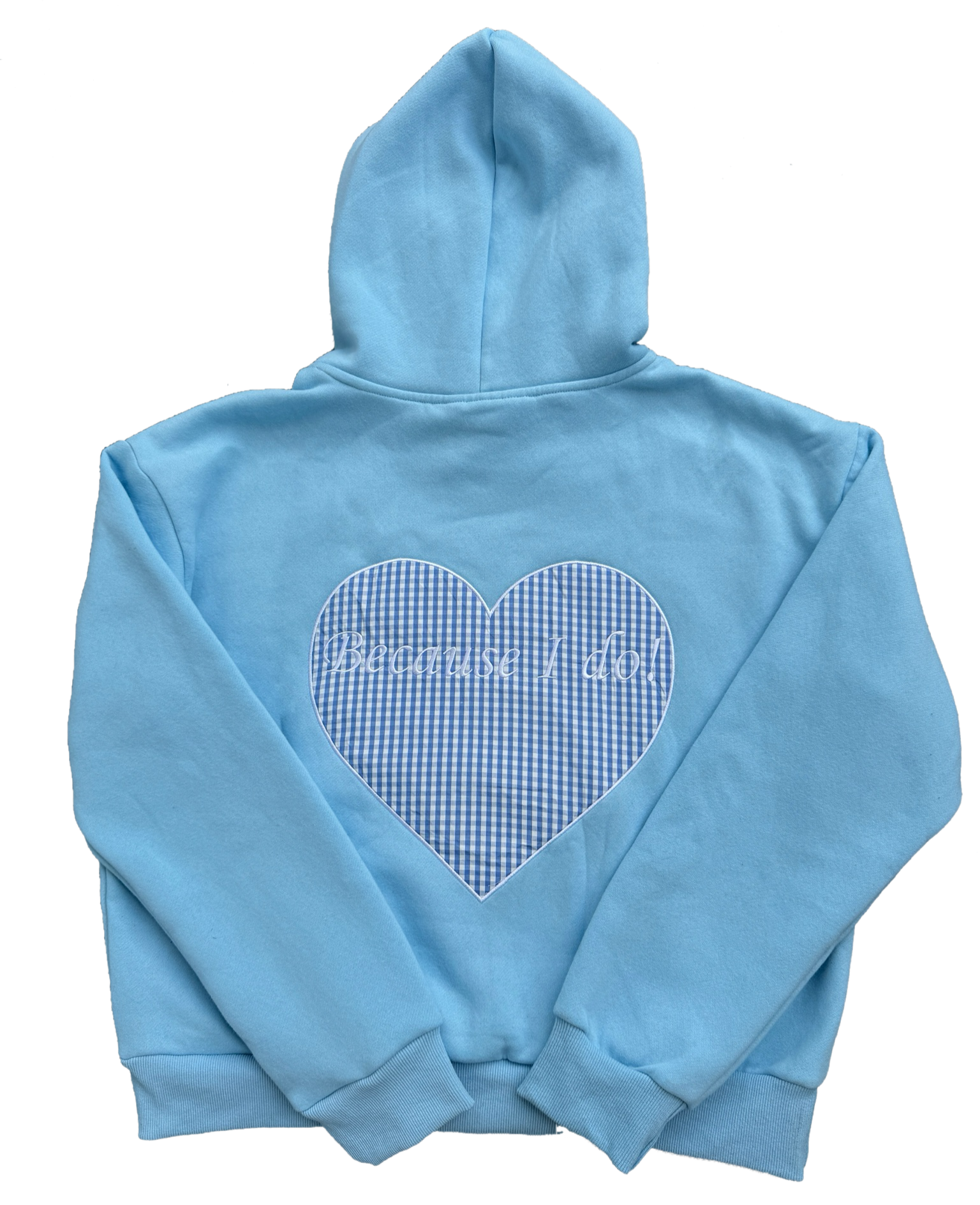 baby blue gingham "because I do" hoodie